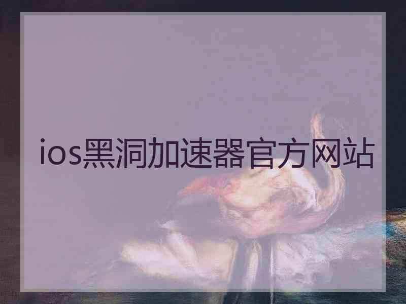 ios黑洞加速器官方网站