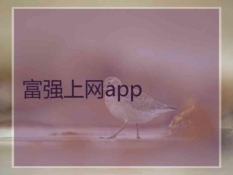 富强上网app