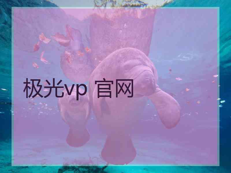 极光vp 官网