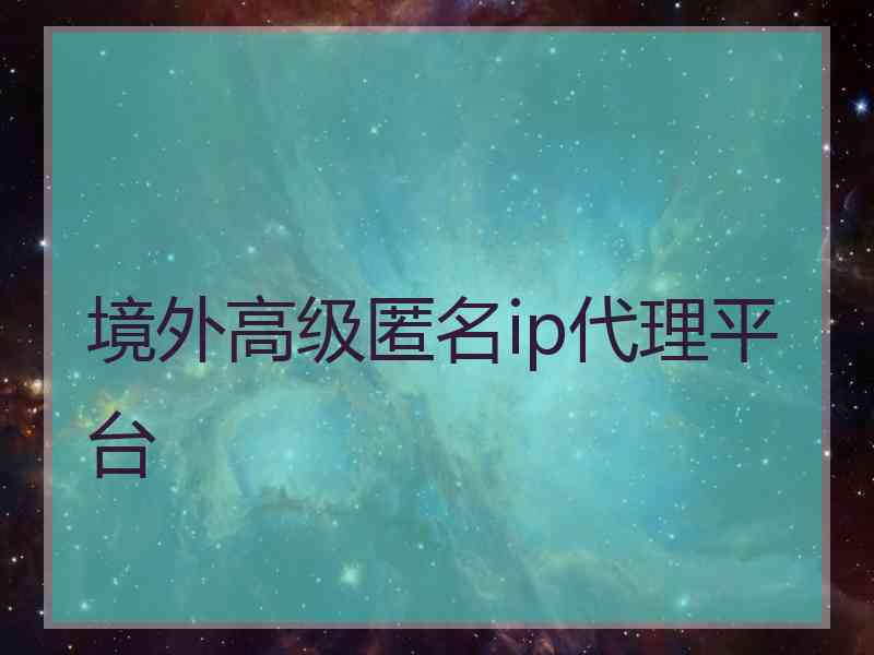 境外高级匿名ip代理平台