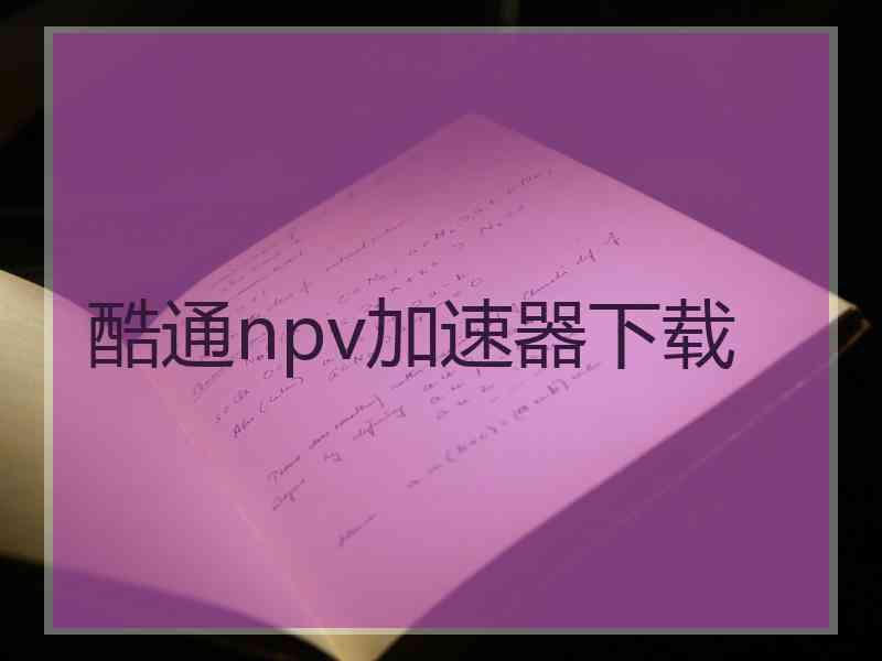 酷通npv加速器下载