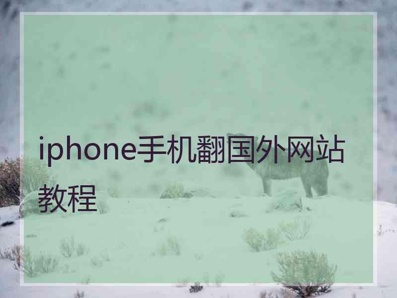 iphone手机翻国外网站教程