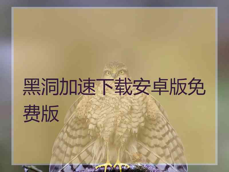 黑洞加速下载安卓版免费版