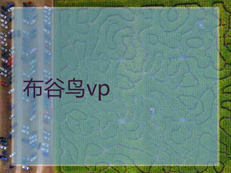 布谷鸟vp