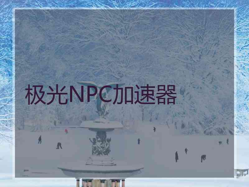 极光NPC加速器