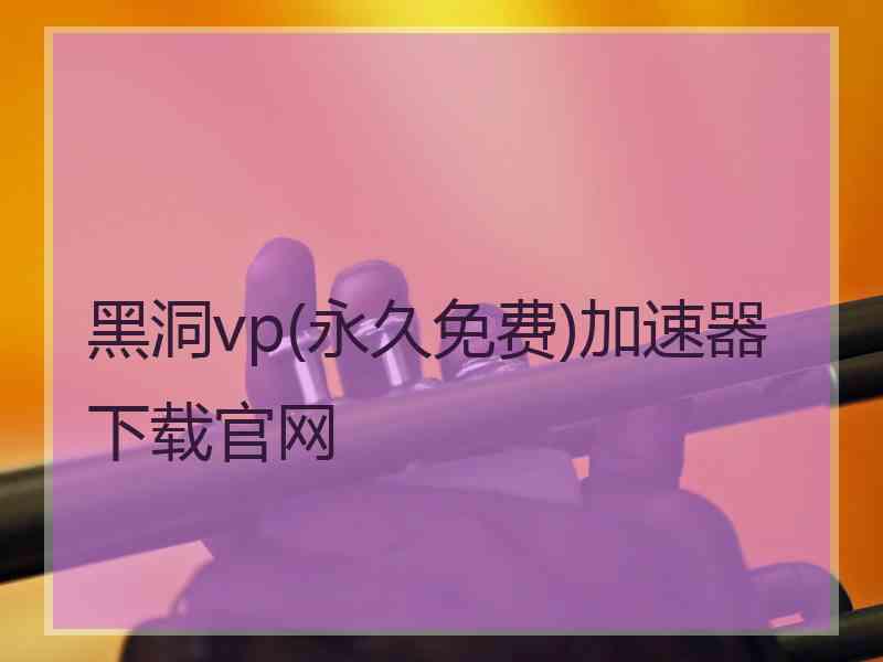 黑洞vp(永久免费)加速器下载官网