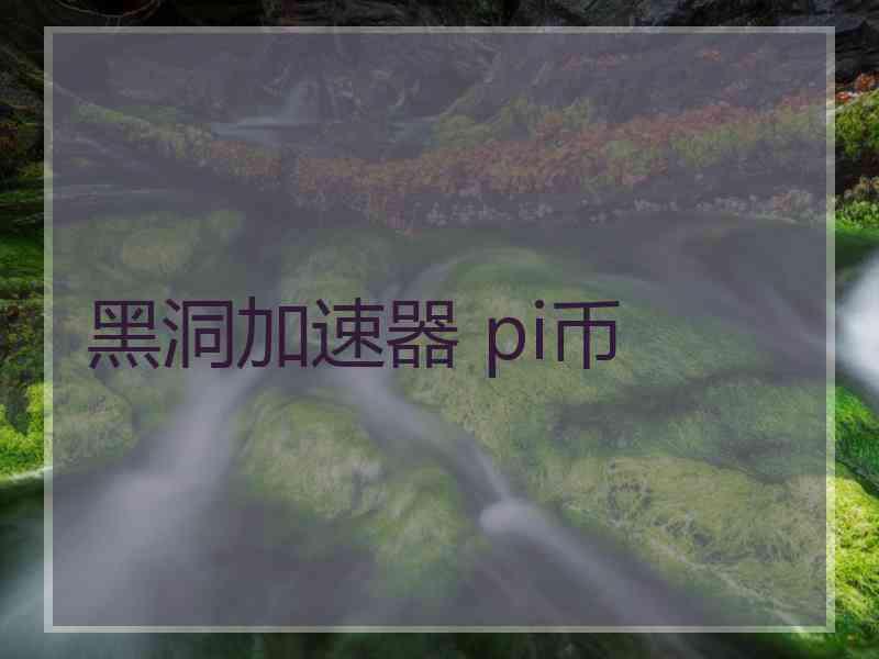 黑洞加速器 pi币