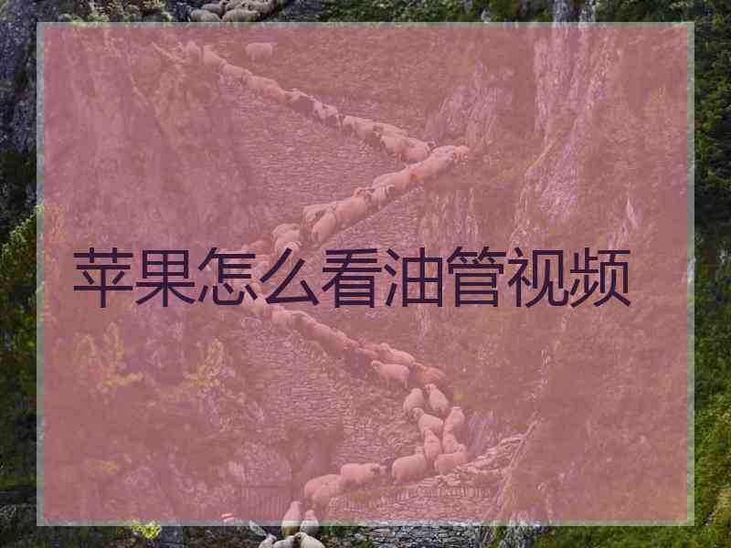 苹果怎么看油管视频