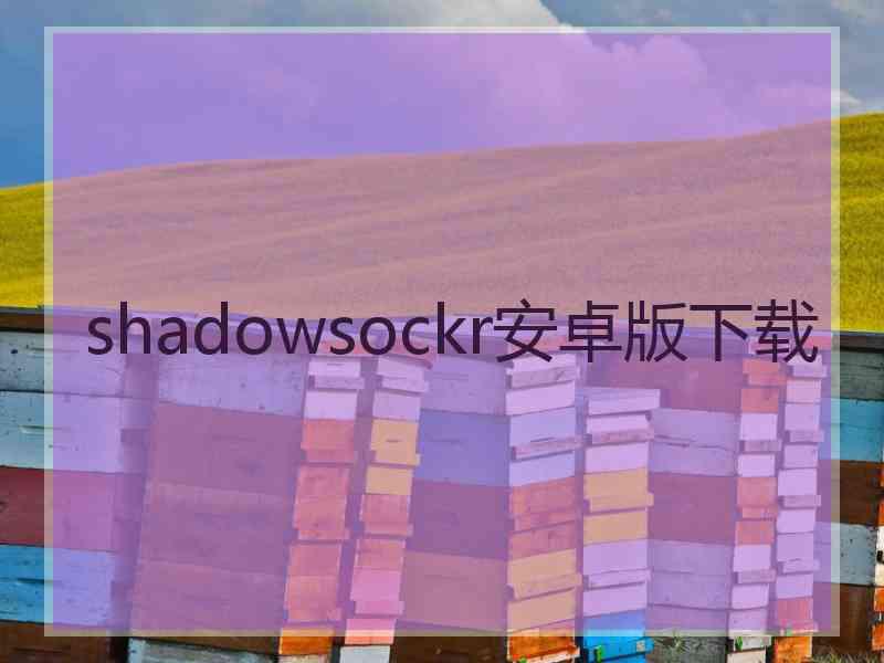 shadowsockr安卓版下载